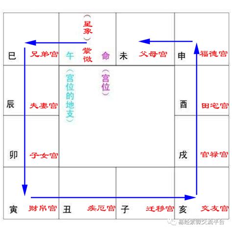 疾厄宮氣質|紫微斗数疾厄宮四化入各宫具体表现，疾厄宫四化在十二宫吉凶详。